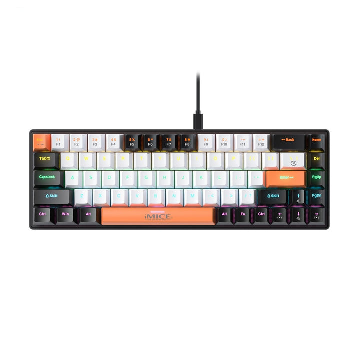Discover the TYPE-C Wired Mechanical Keyboard for Small English Languages